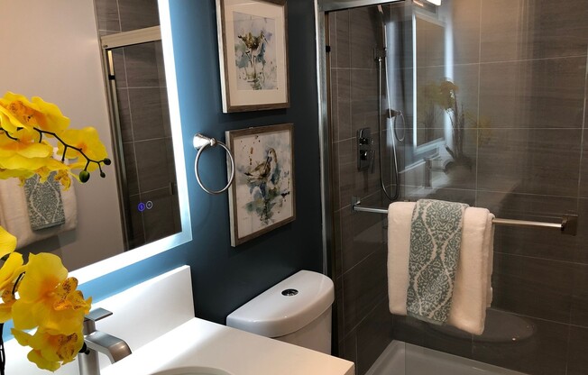 Beautiful Studio Apartment in Belmont Shore Across from Rosie’s Dog Beach!!
