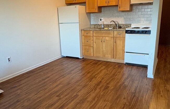 Studio, 1 bath, $1,075, Unit Unit 203