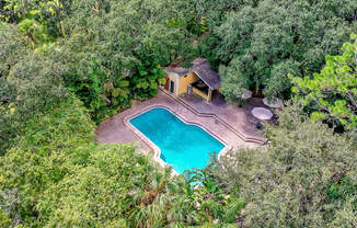 an aerial view of a pool in the middle of trees