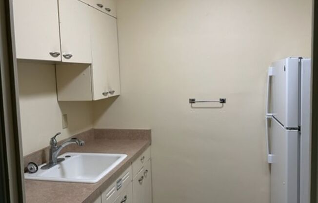1 bed, 1 bath, 518 sqft, $1,289, Unit 503B