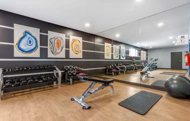 A gym with a variety of equipment including weights, benches, and exercise balls.