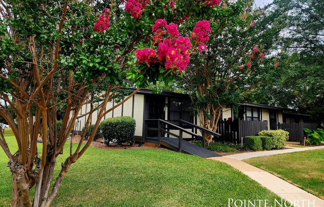 a small house with pink flowering trees in front of it