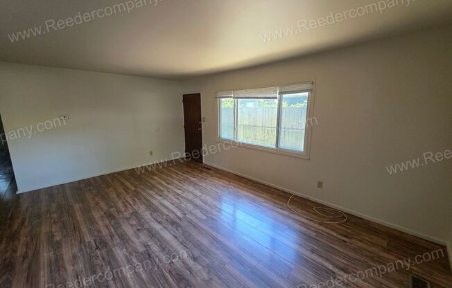 Newly updated 3 bedroom 1 bathroom house