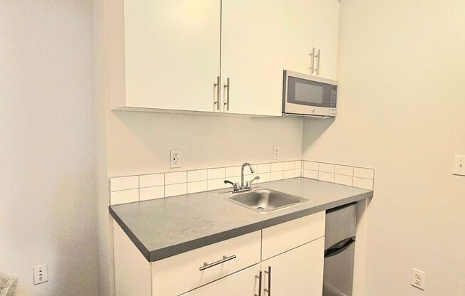 Studio, 1 bath, 157 sqft, $1,100