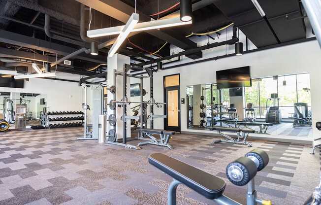 A gym with a variety of equipment including a squat rack, dumbbells, and a bench.