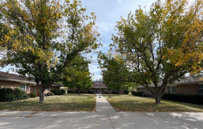 Village Street Duplexes