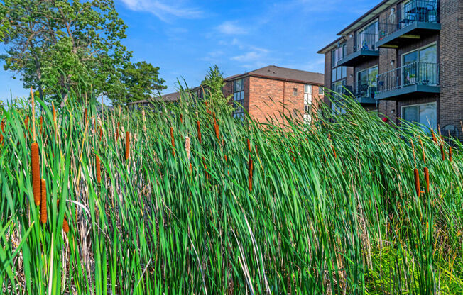 Elizabeth Lake Estates