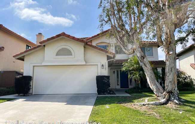 Beautifully remodeled home in Chateau Del Norte in Vista!