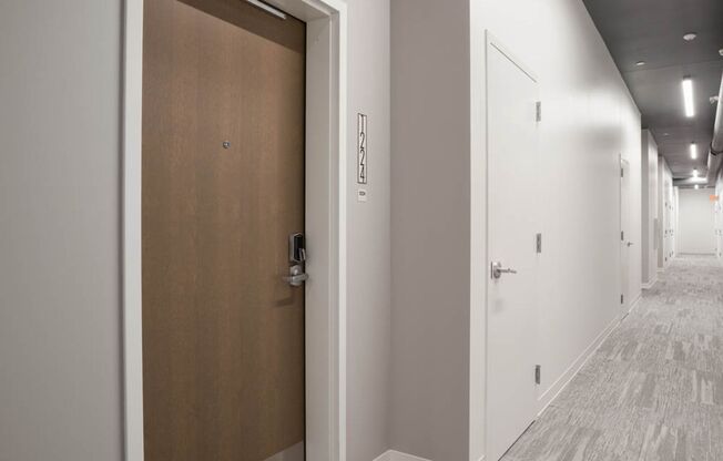 Studio, 1 bath, 390 sqft, $1,025, Unit 1224