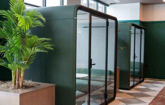 A plant in a planter sits in front of a green wall and a glass door.