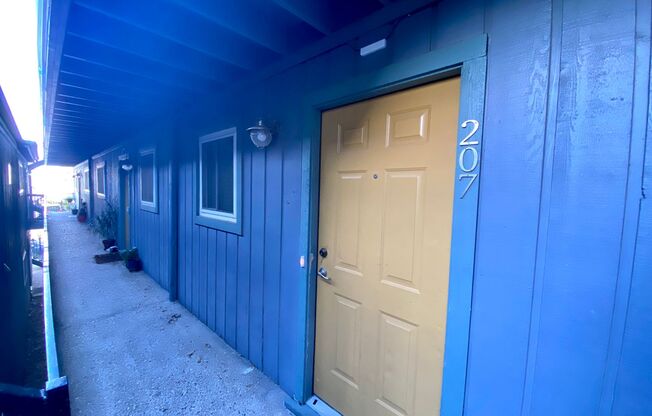 Updated 2 Bedroom off Guadalupe! 3815 Guadalupe