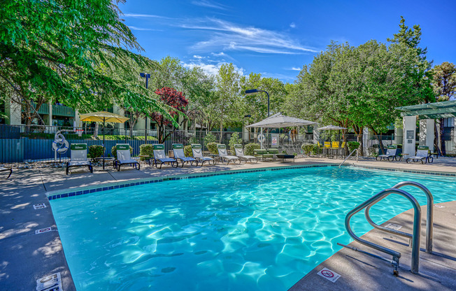 Swimming pool with resort-style furniture at Treehouse Apartments in Albuquerque, New Mexico