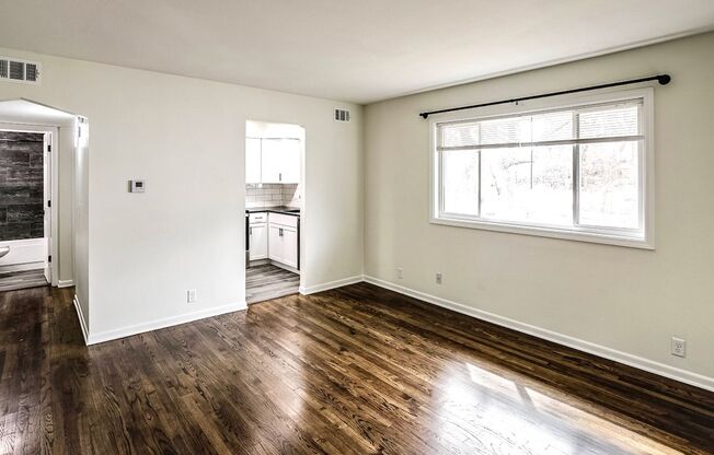 Newly Renovated 1-Bed and 1-Bath Apartment!