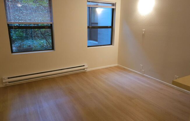 Studio, 1 bath, 495 sqft, $1,095, Unit 5