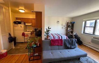 Studio, 1 bath, 400 sqft, $1,295, Unit 3160-406