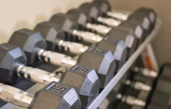 A row of dumbbells with weights ranging from 5 to 25 pounds at West Park Apartments, Albuquerque, New Mexico