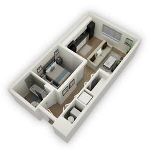 Studio, 1 bath, 525 sqft, $1,250