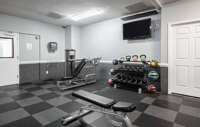 A gym with a bench, weights, and a television.