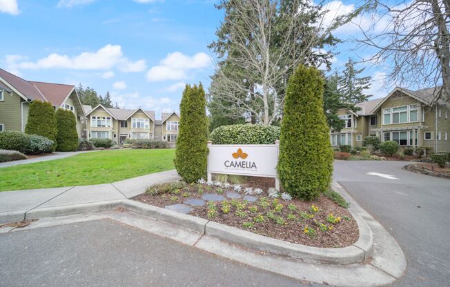 Island Living at Camelia!