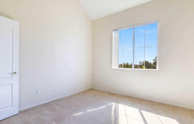 Carpeted Bedroom