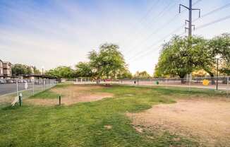 A baseball field with a fence and trees in the background at Sterling Point Apartment Homes, Phoenix, AZ