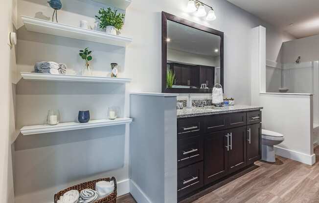 a bathroom with a vanity and a toilet and a mirror