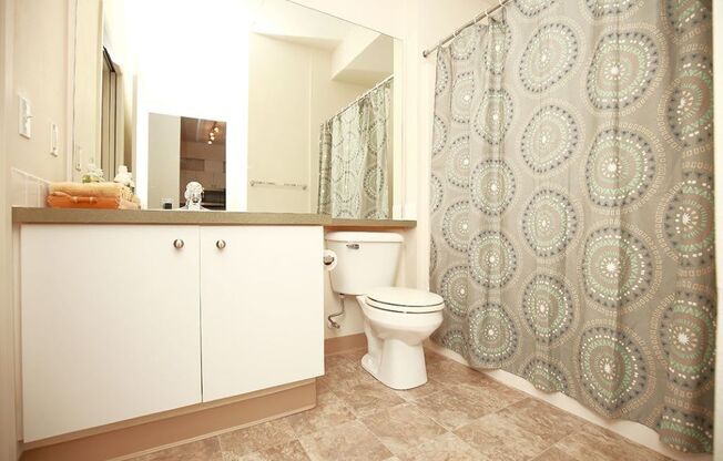 Luxurious Bathroom at Metropolitan Collection Apartments, Renton, WA, 98057