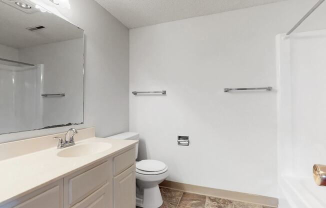 a bathroom with a sink and a toilet and a mirror