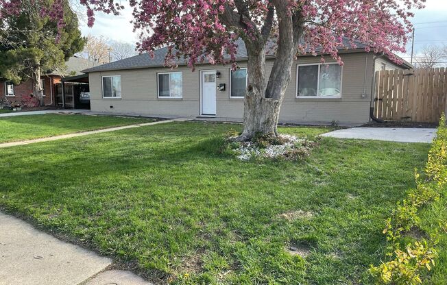 Charming Updated Home with Spacious Yard