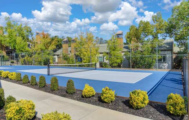 sport courts with tennis and basketball courts.  Courts are painted blue. The surrounding buildings are in the distance  & there is landscaping around the courts with mature Trees and bushes