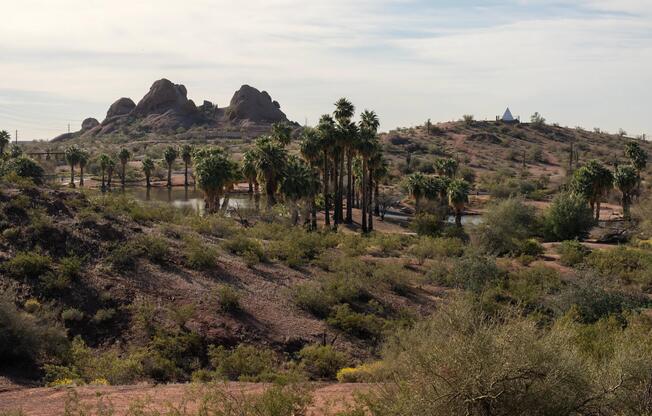 Desert trails, palm-lined waterways, and striking rock formations define the landscape surrounding Modera Rio Salado in Tempe.