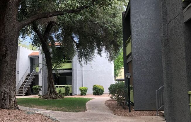 1 bed, 1 bath, 665 sqft, $944, Unit 102