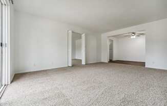 Spacious Living Area