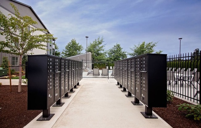 a row of mailboxes on a sidewalk with trees in the background