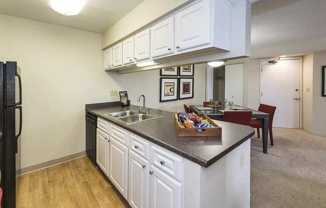Quartz Countertops In Kitchen at The Parc at Briargate, Colorado, 80920