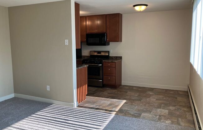 1 bed, 1 bath, $1,150, Unit 308