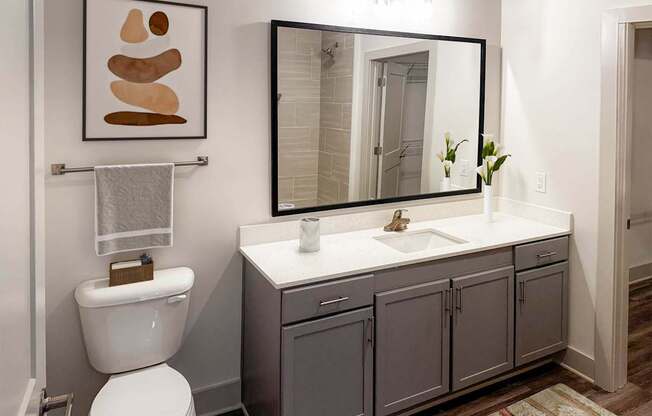 A bathroom with a toilet, sink, and a mirror.