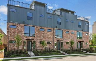 4427 Viburnum
