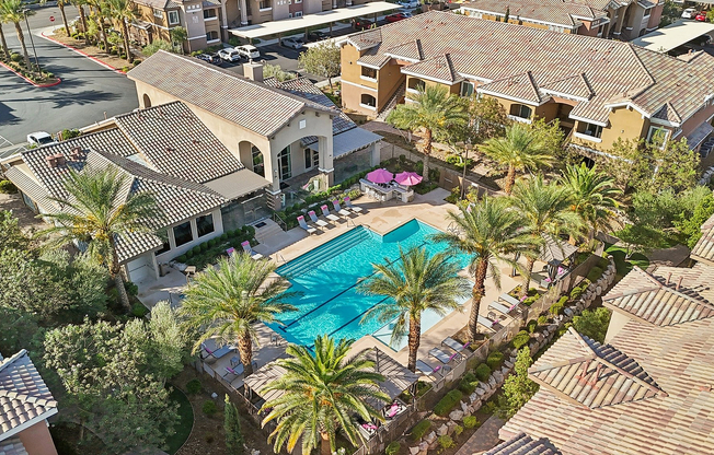Arial View of Pool and Palm Trees