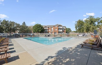 A large swimming pool surrounded by sun loungers and trees.