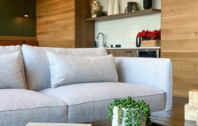 a grey couch in front of a table with plants with a wooden wall behind in the front lounge space