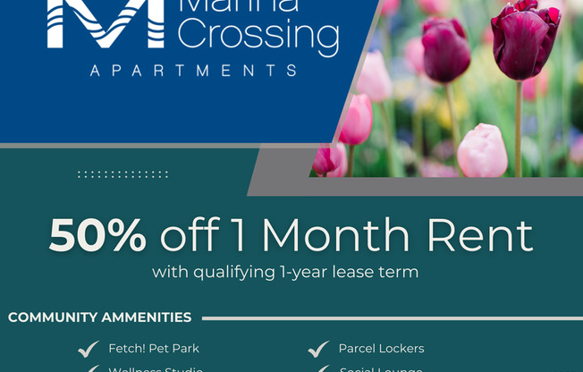 Studio, 1 bath, 439 sqft, $1,995, Unit 221