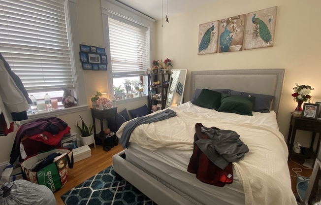 1 bed, 1 bath, 540 sqft, $2,850, Unit 411