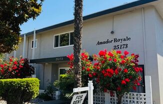 25173 Amador Royale Apartments
