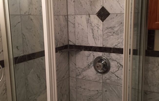 Studio, 1 bath, 250 sqft, $1,195, Unit 102