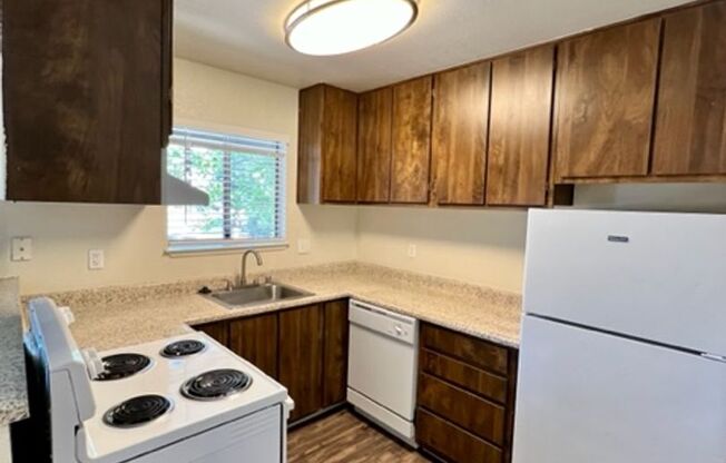 1 bed, 1 bath, 700 sqft, $1,500, Unit 50