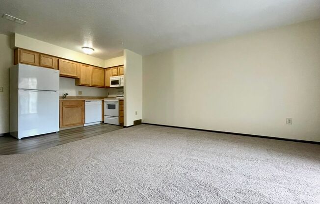1 bed, 1 bath, 450 sqft, $800, Unit 11-04