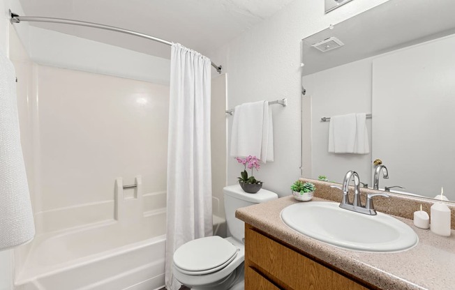 One Bedroom Bathroom at Shorebird Apartments in Mesa Arizona