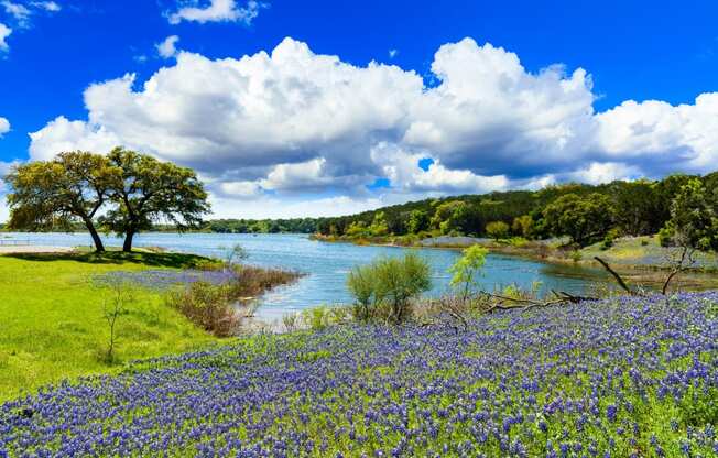 Serene Hill Country setting at Yaupon by Windsor, Austin