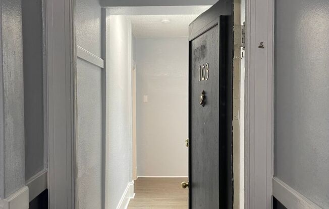 Studio, 1 bath, 315 sqft, $1,250, Unit 103